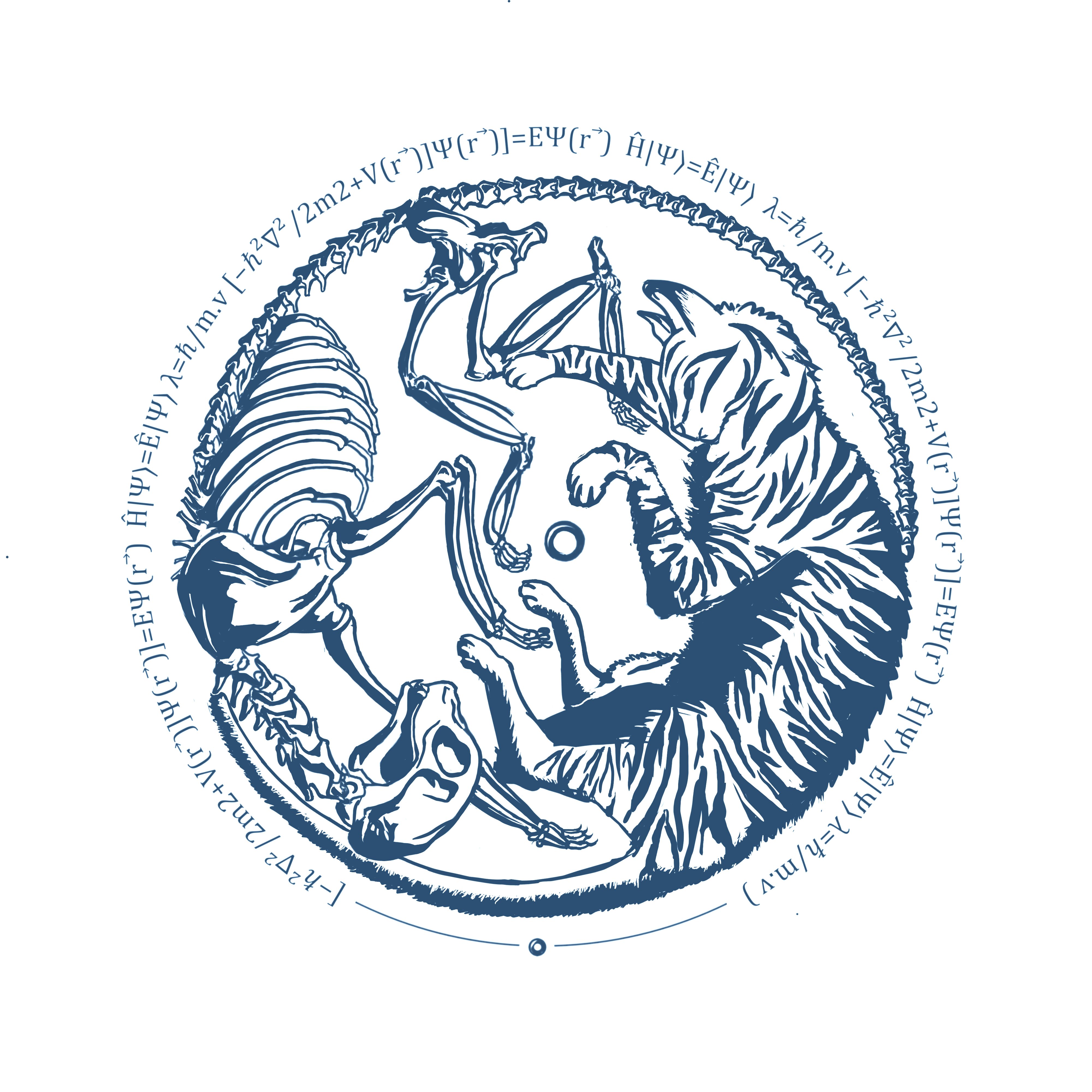 Le Chat Quantique de Schrodinger, cyanotype au format A4